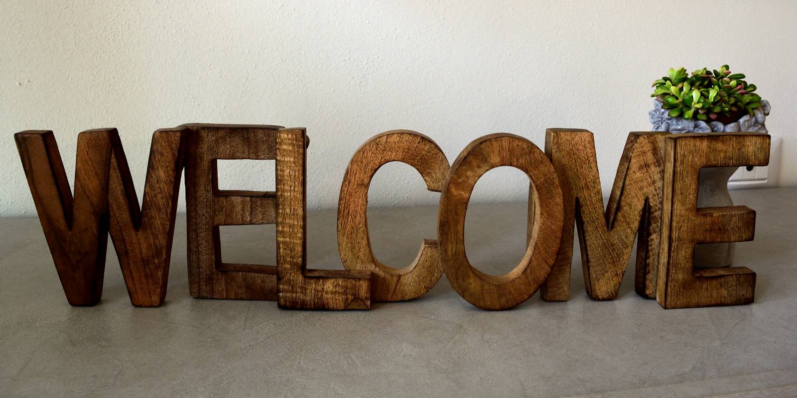 Disponibilità e contatti